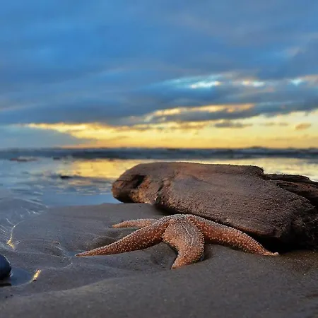 Feriehus Gluecklich Am 3 Mit Wellnesszugang *