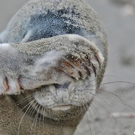 Feriehus Gluecklich Am 3 Mit Wellnesszugang *