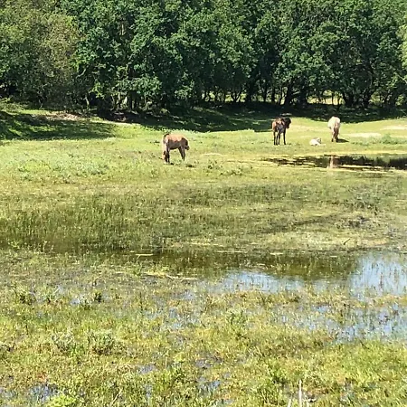 Feriehus Gluecklich Am 3 Mit Wellnesszugang