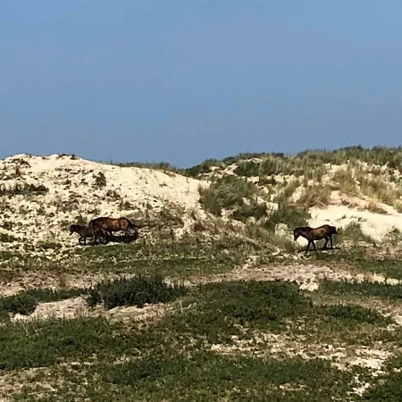 Gluecklich Am 3 Mit Wellnesszugang