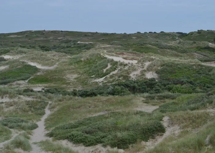 Dom wakacyjny Gluecklich Am 3 Mit Wellnesszugang Egmond aan Zee