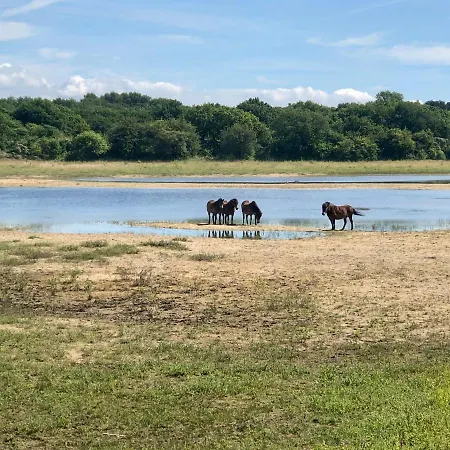 Gluecklich Am 3 Mit Wellnesszugang